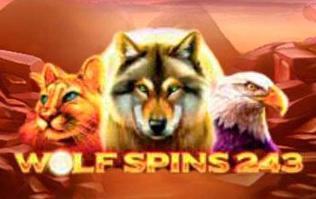Wolf Spins 243